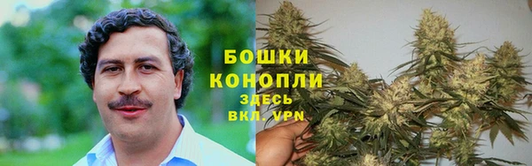 ГАЛЛЮЦИНОГЕННЫЕ ГРИБЫ Аша